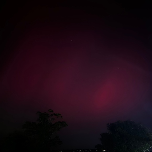 Meet your Posher, Crystal - Picture 1 of 1